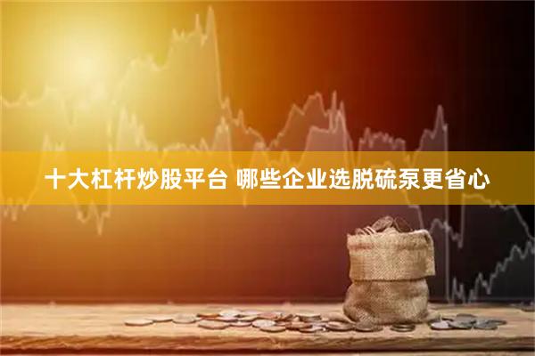 十大杠杆炒股平台 哪些企业选脱硫泵更省心