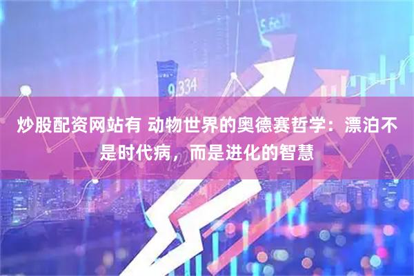 炒股配资网站有 动物世界的奥德赛哲学：漂泊不是时代病，而是进化的智慧