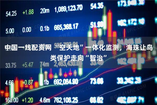 中国一线配资网 “空天地”一体化监测，海珠让鸟类保护走向“智治”